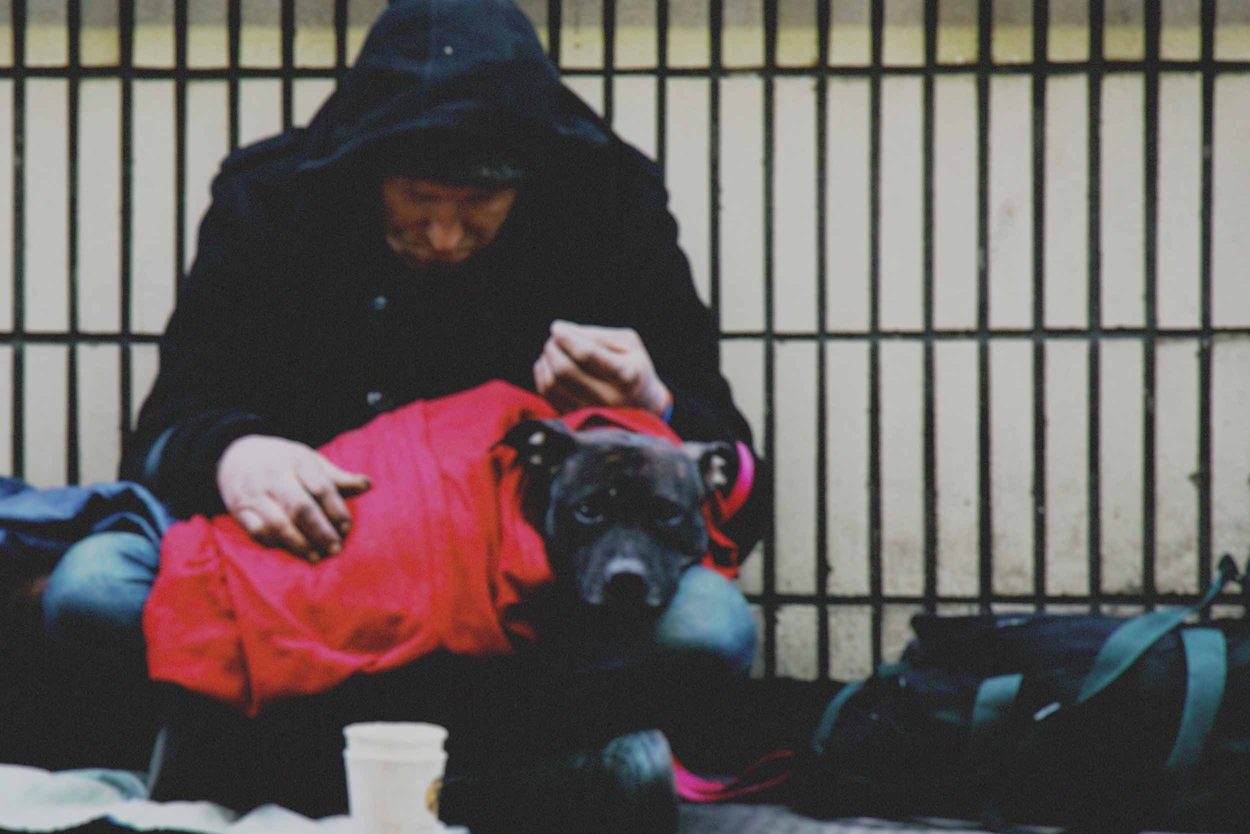 bg_panhandler and dog_2