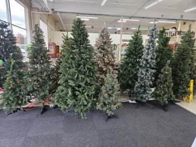 Christmas Trees
